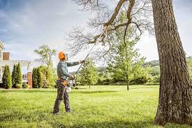 Best Seasonal Cleanup (Spring/Fall)  in North El Monte, CA